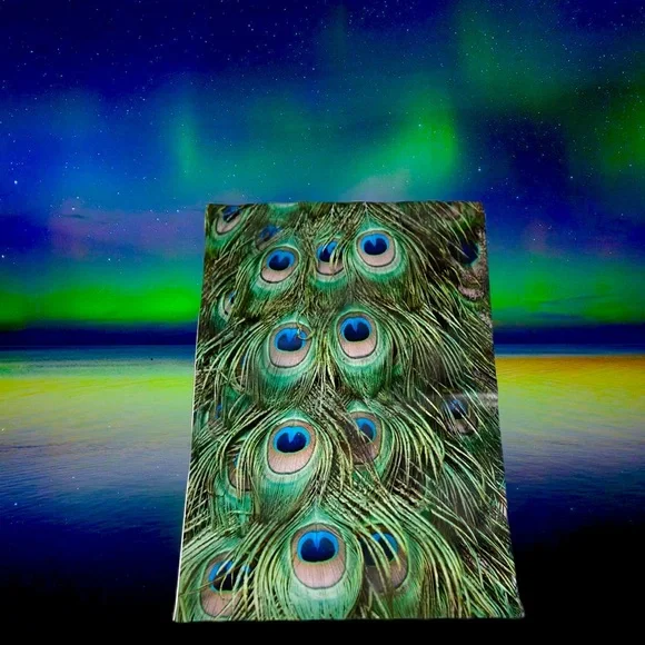 25 10X13 Poly Mailers Peacock Eyes PRICE IS FIRM - Picture 4 of 12